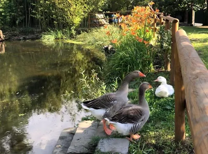 Διαμέρισμα Esperia Casa Τεργέστη