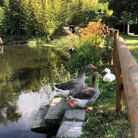 アパート Esperia Casa トリエステ